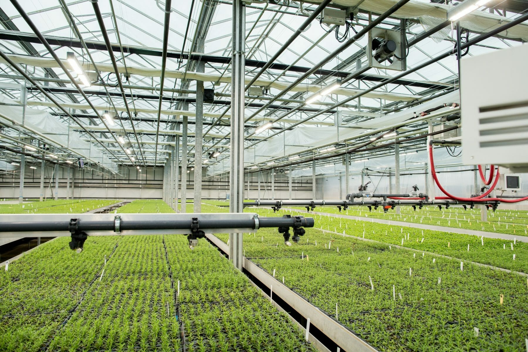 Shenandoah Growers Greenhouse