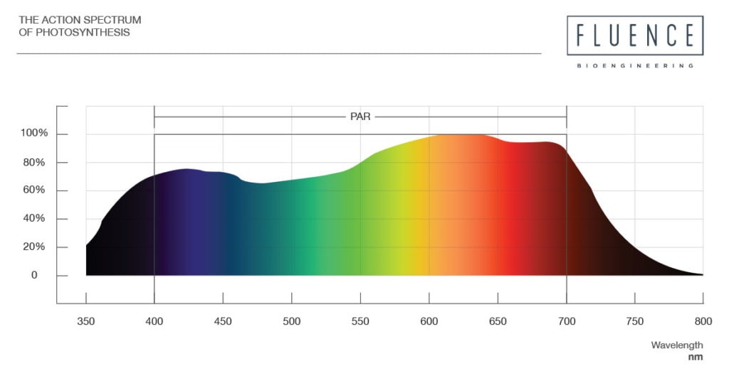 fluorescent green cycle