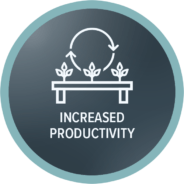Increased Productivity