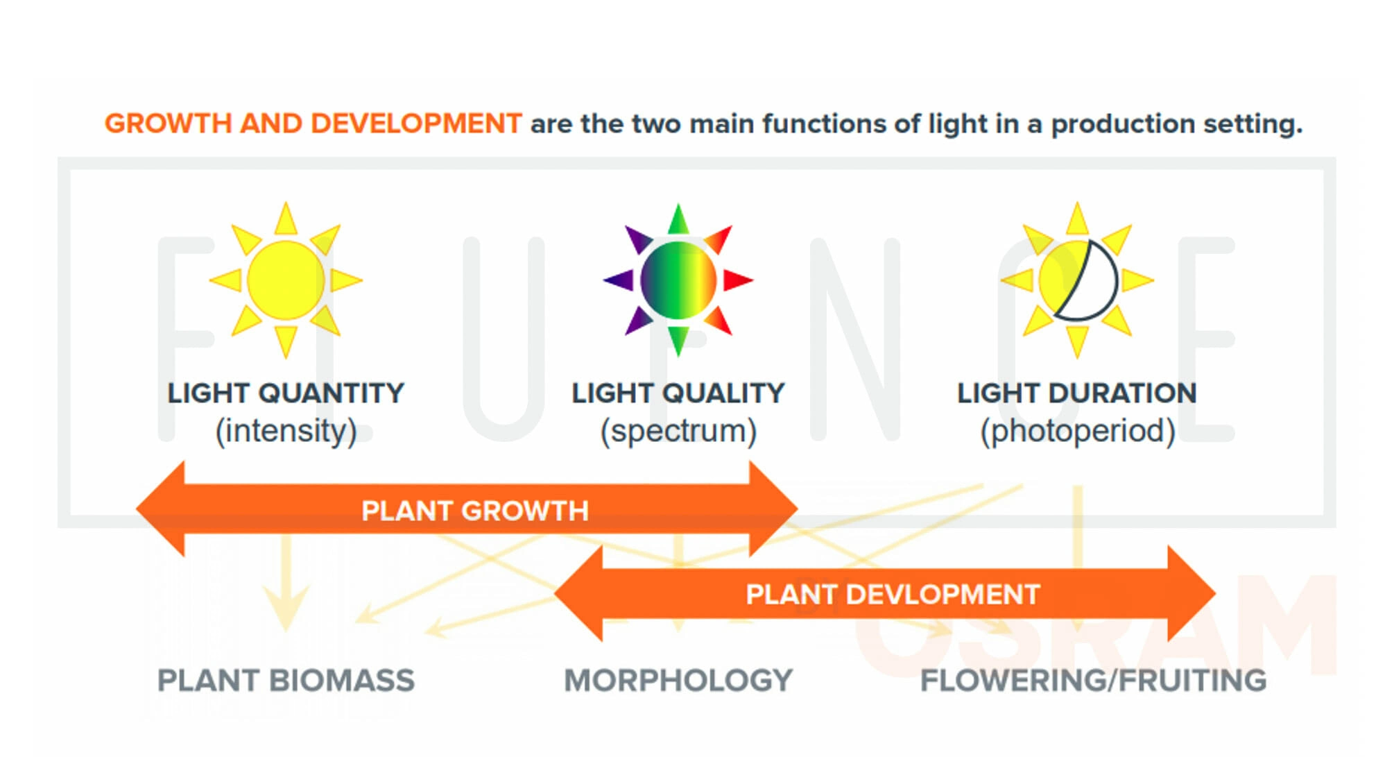 Diagram of cannabis lighting: light quantity, quality, duration for LED grow lights in commercial cannabis cultivation.