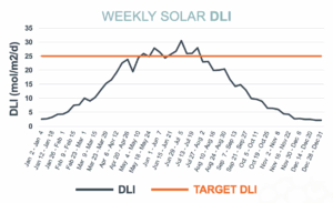 Graph showing weekly DLI for commercial cannabis cultivation, with LED grow lights target at 25 mol/m2/d.