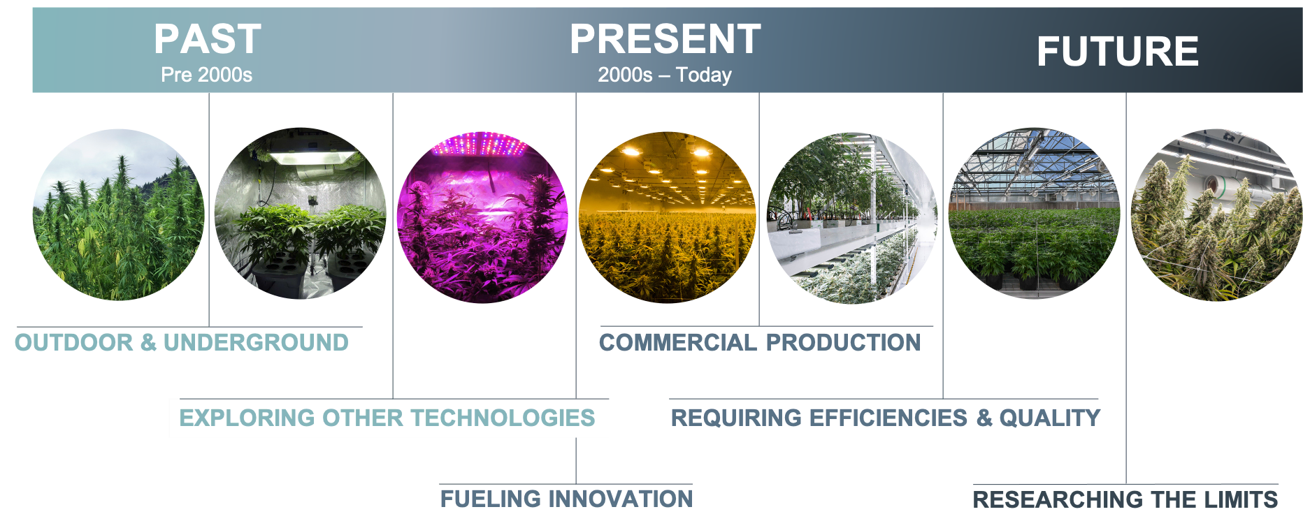 Timeline of cannabis cultivation: from outdoor to LED grow lights, tech, and research.