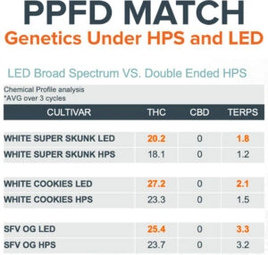 Table showing THC, CBD, and terpene levels in cannabis under LED grow lights vs HPS for commercial cultivation.