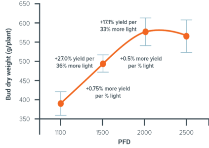 Graph showing cannabis bud weight increases with PFD using LED grow lights for commercial cannabis cultivation.