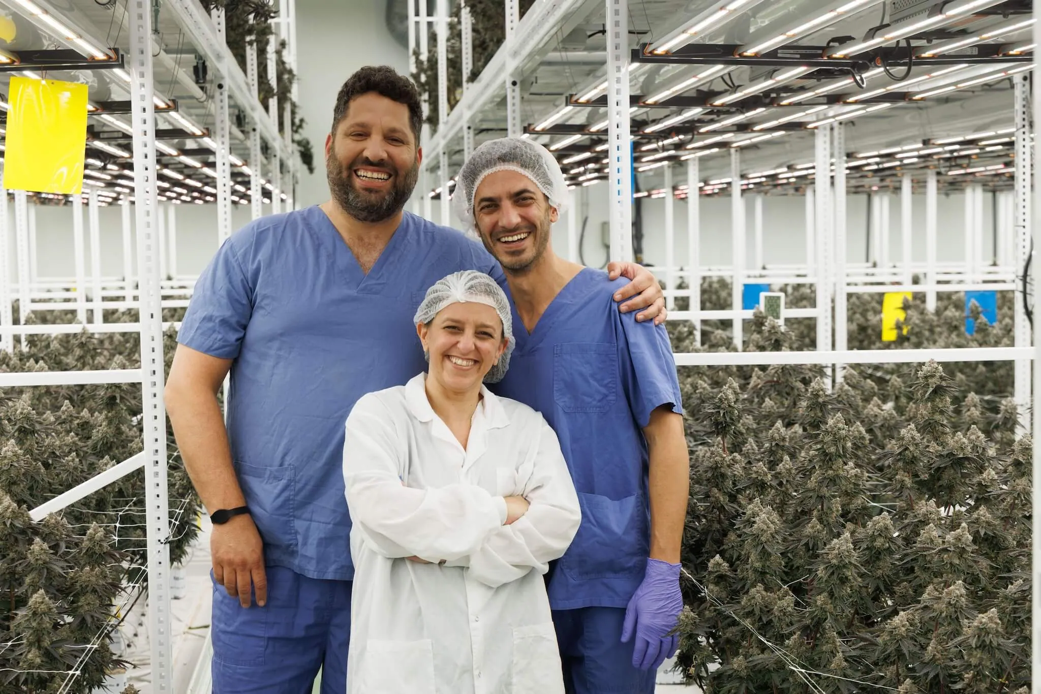 1. Three scientists in a cannabis facility with LED grow lights and cannabis plants. 2. Lab staff in commercial cannabis grow room with advanced cannabis lighting technology. 3. Team in lab attire among flowering cannabis under LED lights for cultivation science. 4. Researchers inspect commercial cannabis cultivation under specialized grow lighting. 5. Cannabis scientists stand by rows of plants lit by professional LED grow lights.