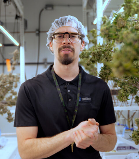 A Fluence team member in safety gear stands amidst thriving cannabis plants in an Austin-based LED-lit facility for optimized crop production.