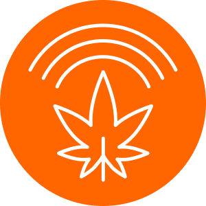 Fluence logo: Orange circle featuring a white cannabis leaf and stylized arcs; representation of innovative LED lighting solutions for enhanced cannabis cultivation in Austin, Texas.