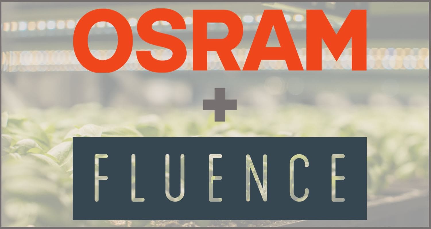 OSRAM and FLUENCE logos above cannabis plants, LED grow lights for cannabis.