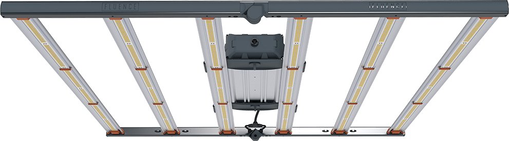 Overhead view of LED grow light for commercial cannabis cultivation, six bars.