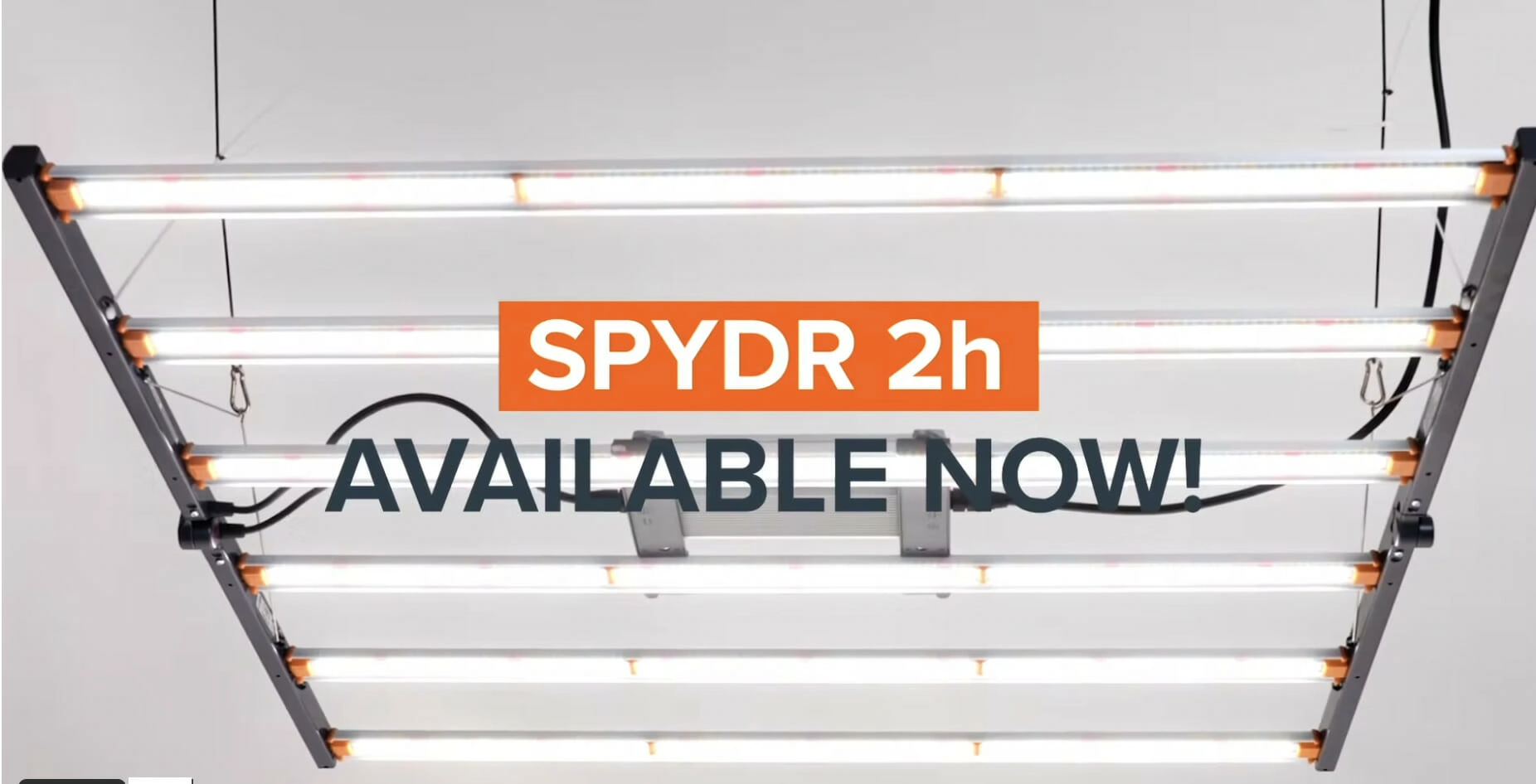 SPYDR 2h LED grow light for commercial cannabis cultivation, available now.