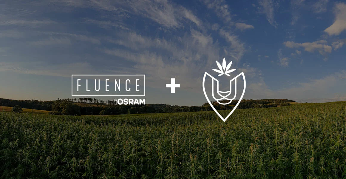 Fluence OSRAM partners with cannabis brand for advanced LED grow lights.