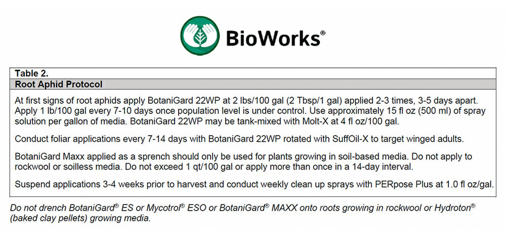 Table with BioWorks Root Aphid Protocol for commercial cannabis cultivation under LED grow lights.
