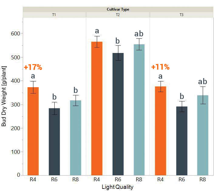 Bar graph comparing cannabis yield by light spectrum and cultivar using LED grow lights.