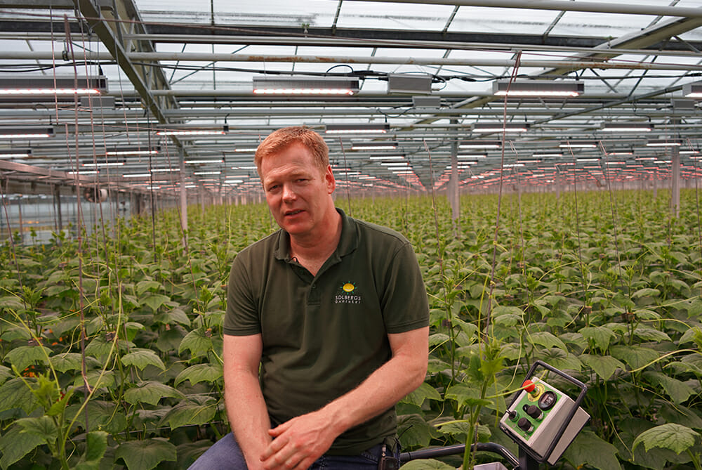 A man in a greenhouse with cannabis plants under commercial LED grow lights.
