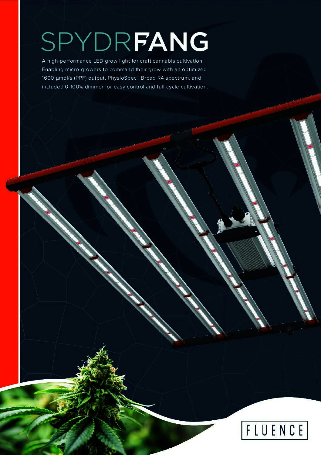 SPYDR FANG LED grow lights for cannabis in commercial cultivation setup.