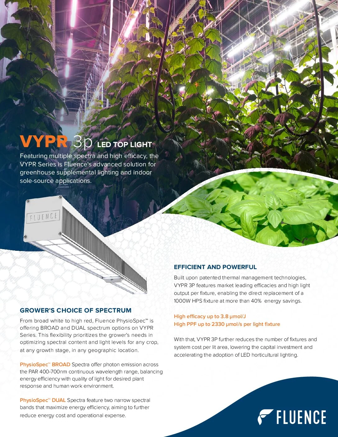 LED grow lights for cannabis over healthy plants in commercial cultivation facility.