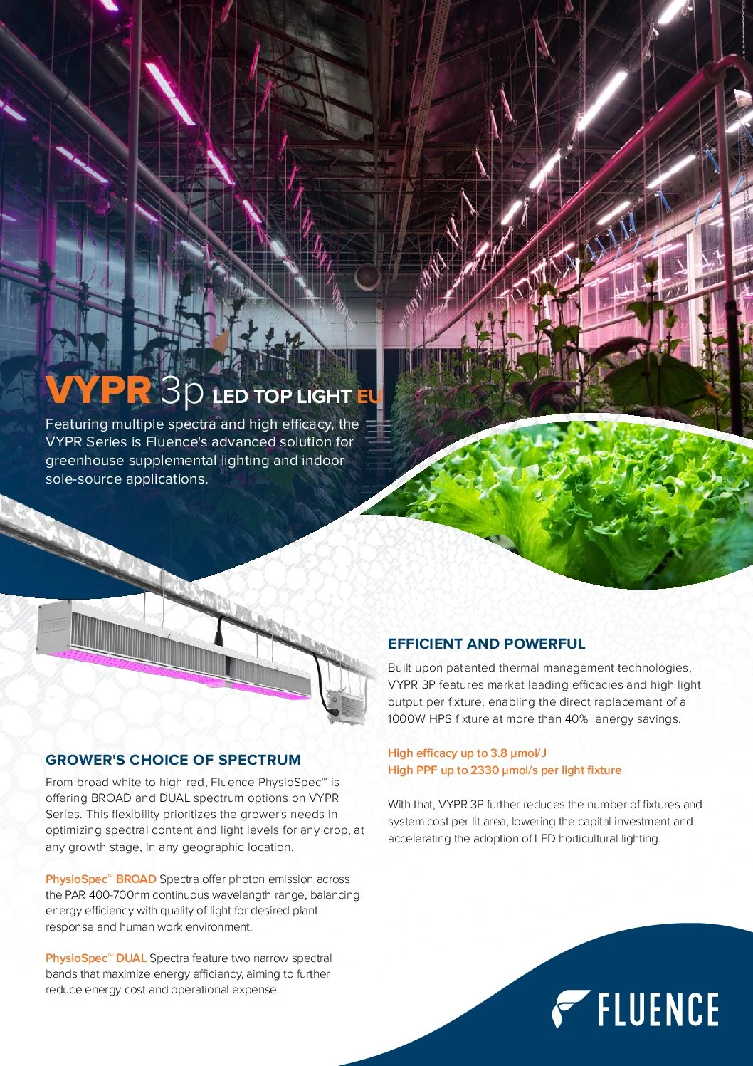 Fluence VYPR 3p LED grow light for commercial cannabis cultivation in greenhouse.