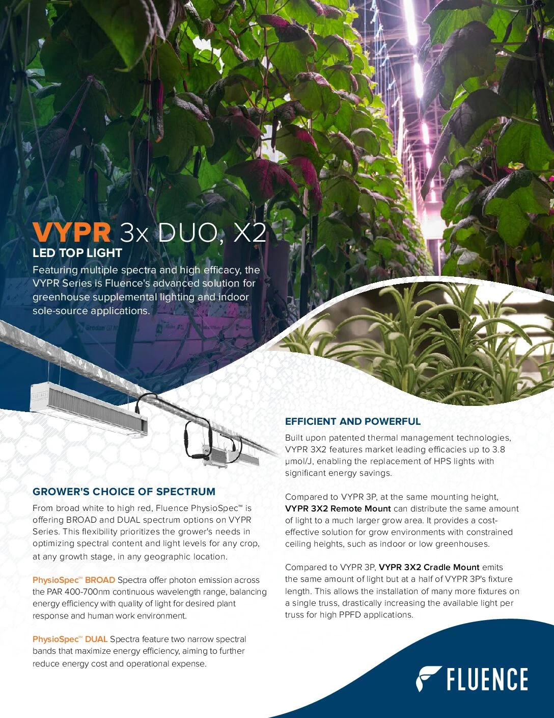 LED grow lights for cannabis in commercial cultivation facility, Fluence VYPR specs shown.