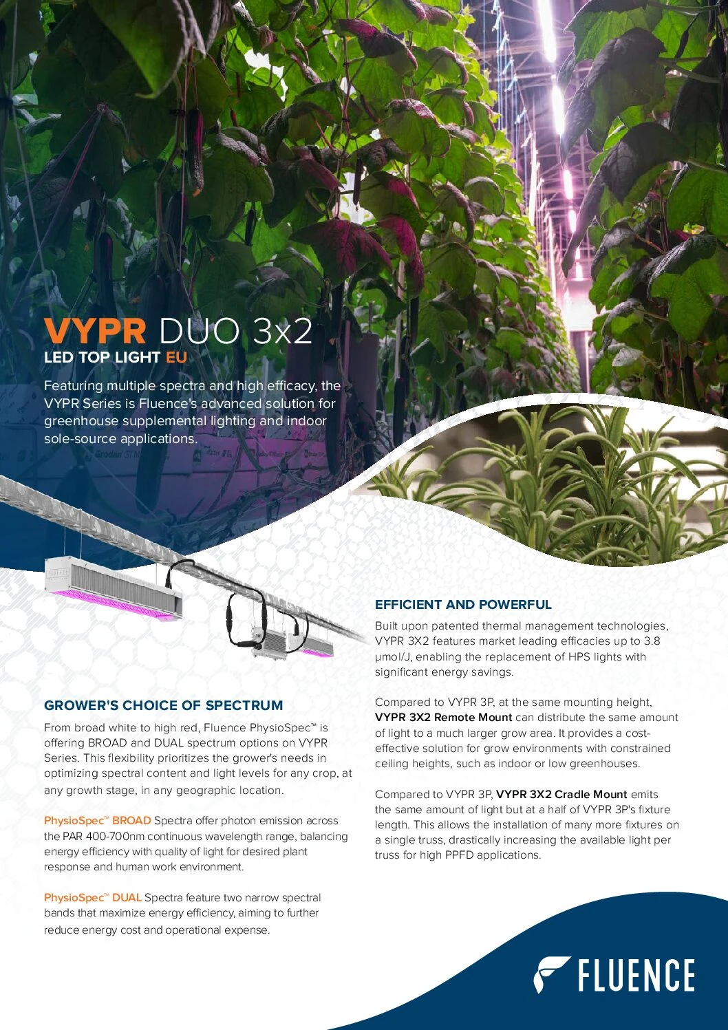 Ad for Fluence VYPR DUO 3x2 LED grow lights for commercial cannabis cultivation.