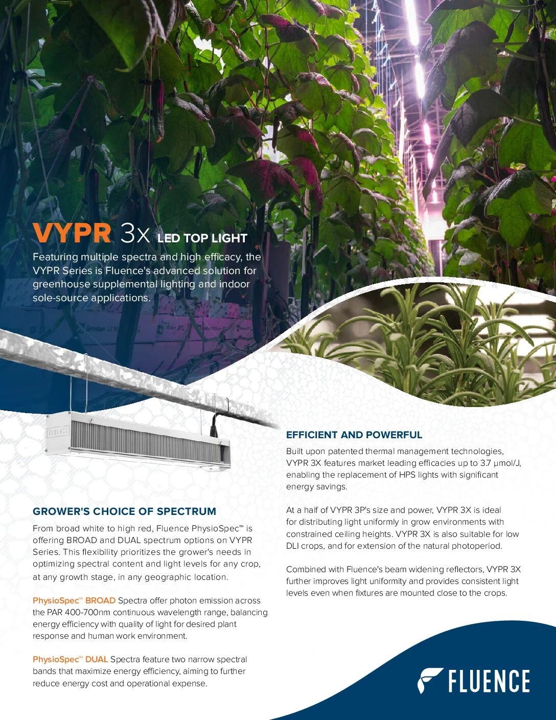 1. Commercial flyer of Fluence VYPR 3x LED grow lights for cannabis cultivation 2. Fluence VYPR 3x in greenhouse—cannabis lighting technology flyer 3. Cannabis cultivation flyer showcasing Fluence VYPR 3x LED grow light specs 4. Cannabis lighting science: Flyer with Fluence VYPR 3x in a cultivation facility 5. Commercial cannabis lighting—Fluence VYPR 3x LED greenhouse setup flyer.