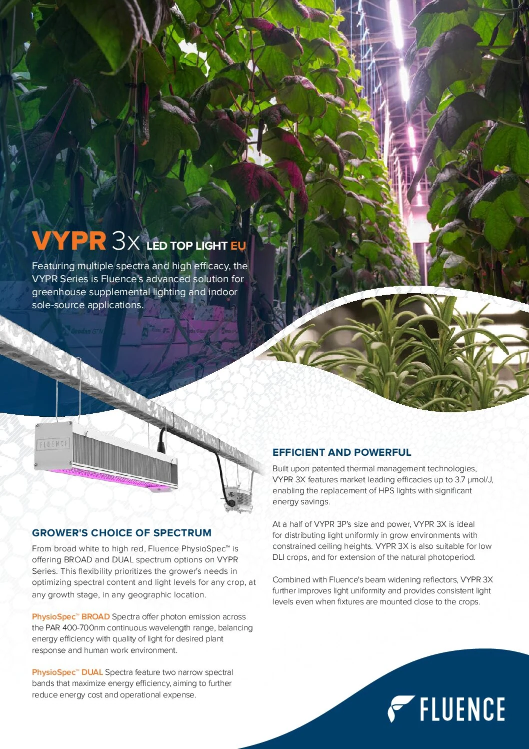 Commercial flyer of VYPR 3x LED grow lights for cannabis in a greenhouse.