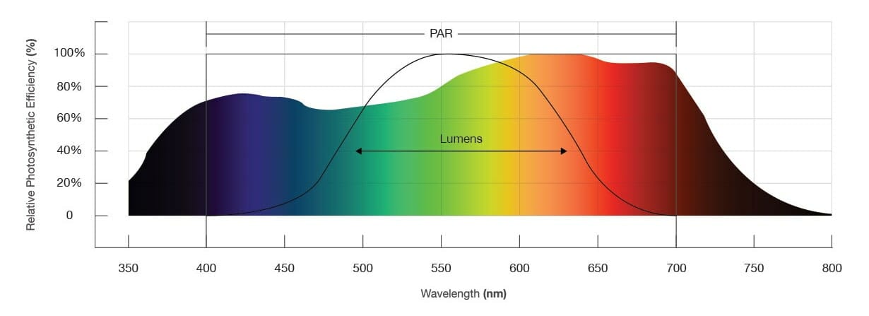 Graph of photosynthetic efficiency vs wavelength for cannabis LED grow lights.
