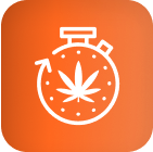 Chronomètre blanc avec une feuille de cannabis sur un dégradé orange, symbolisant les lampes de culture LED avancées pour la culture du cannabis.