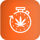 White stopwatch with cannabis leaf on orange gradient, symbolizing advanced LED grow lights for cannabis cultivation.