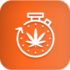 Chronomètre blanc avec feuille de cannabis, fond orange - lampes de culture LED de cannabis.