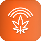 1. Hoja de cannabis con líneas Wi-Fi, símbolo de la avanzada tecnología de iluminación del cannabis. 2. Icono de hoja de cannabis blanca que representa luces LED de cultivo para cannabis sobre degradado naranja. 3. Ciencia del cultivo de cannabis ilustrada por hoja y símbolo de luz inalámbrica sobre naranja. 4. Icono de iluminación y cultivo comercial de cannabis: hoja blanca con líneas de señal, fondo naranja. 5. 5. Símbolo de la tecnología de iluminación del cannabis: hoja de cannabis perfilada, líneas Wi-Fi, fondo naranja degradado.