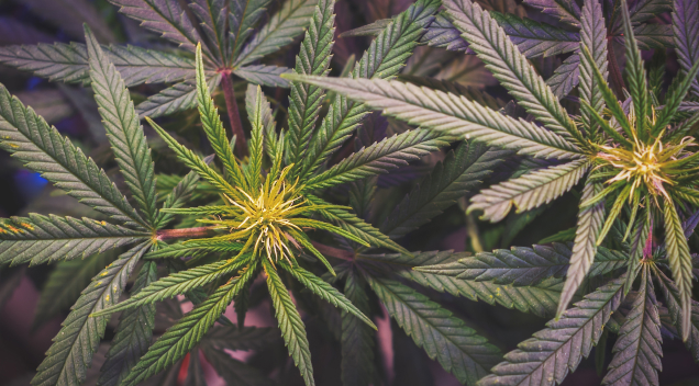 Powerful Control. Premium Quality. Proven ROI.