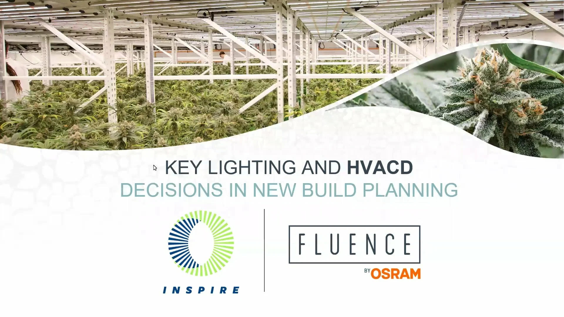 Greenhouse with LED grow lights for commercial cannabis cultivation and logos.
