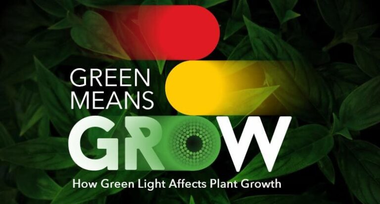 Text "Green Means Grow: Cannabis Lighting" over green leaves and LED grow lights.