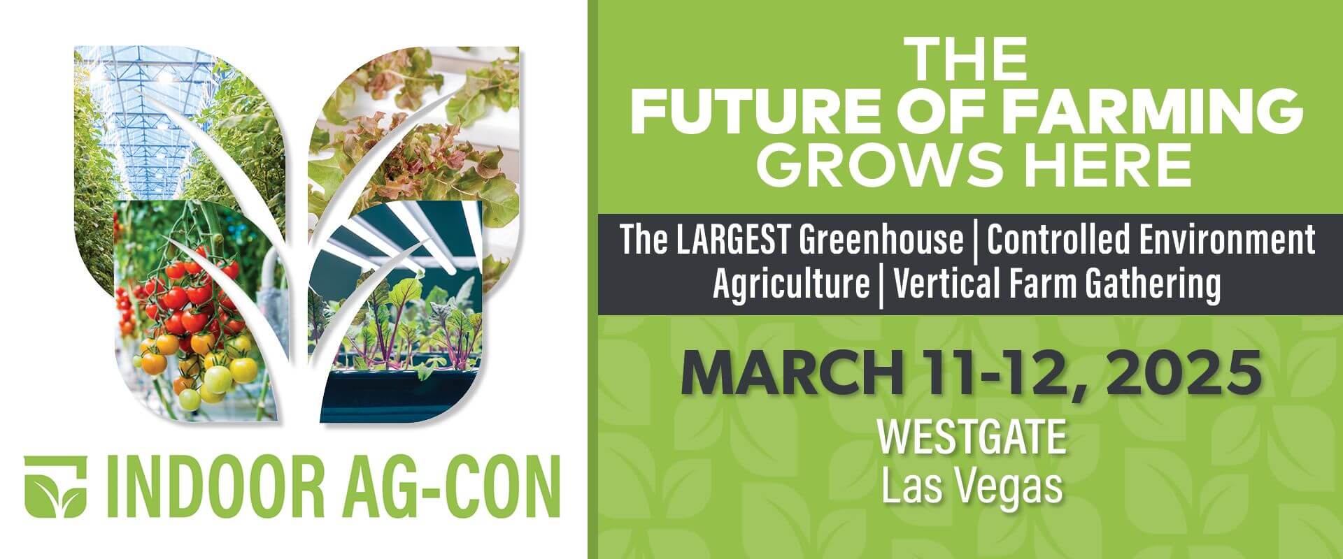 Fluence LED lighting advertisement for Indoor Ag-Con 2025. Showcasing optimized greenhouse and plant cultivation images. Event details: March 11-12, Westgate, Las Vegas, focusing on greenhouse and vertical farming innovation.