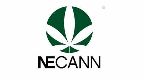 Green cannabis leaf logo over "NECANN" text on white background for Fluence LED lighting at Austin, Texas; enhancing controlled environment agriculture and optimized crop production.