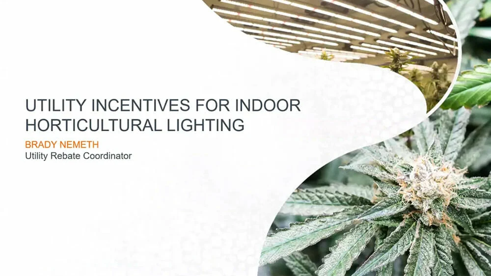 Slide: "Utility Incentives for Cannabis LED Grow Lights," photos of LED grow lights and cannabis plant, focused on commercial cannabis cultivation and lighting technology.