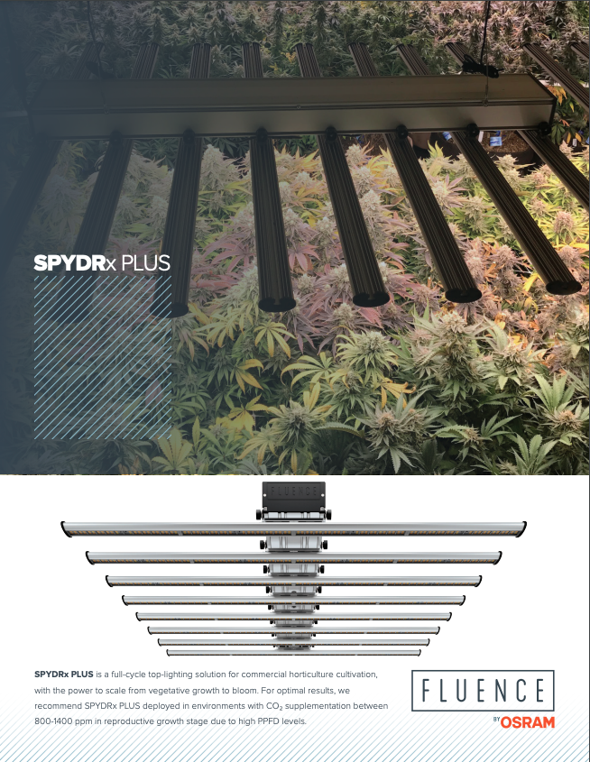 Overhead of SPYDRx PLUS LED grow light for commercial cannabis cultivation.