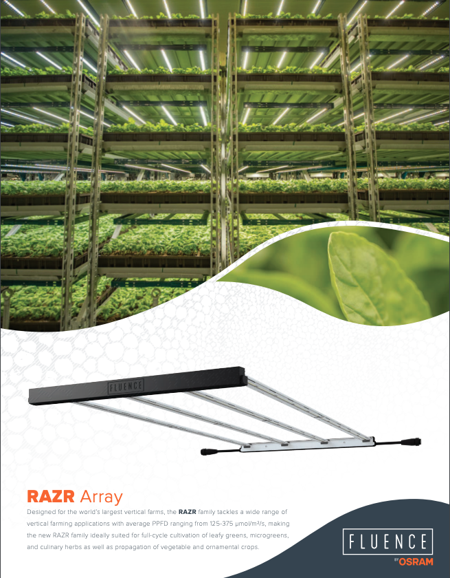 Commercial cannabis farm with LED grow lights, focus on RAZR3 lighting technology.
