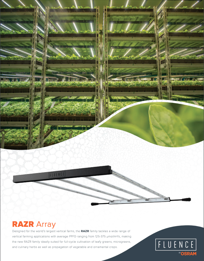 Commercial cannabis farm with LED grow lights, focus on RAZR3 lighting technology.
