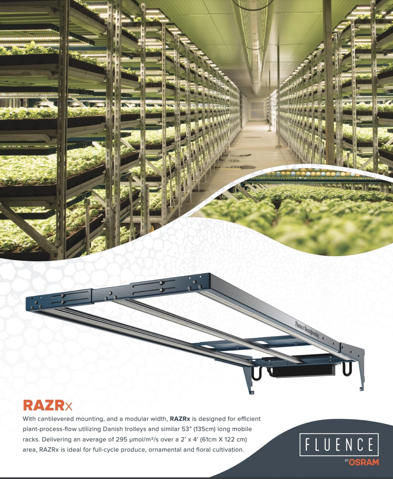 Indoor cannabis vertical farm with LED grow lights for commercial cultivation.