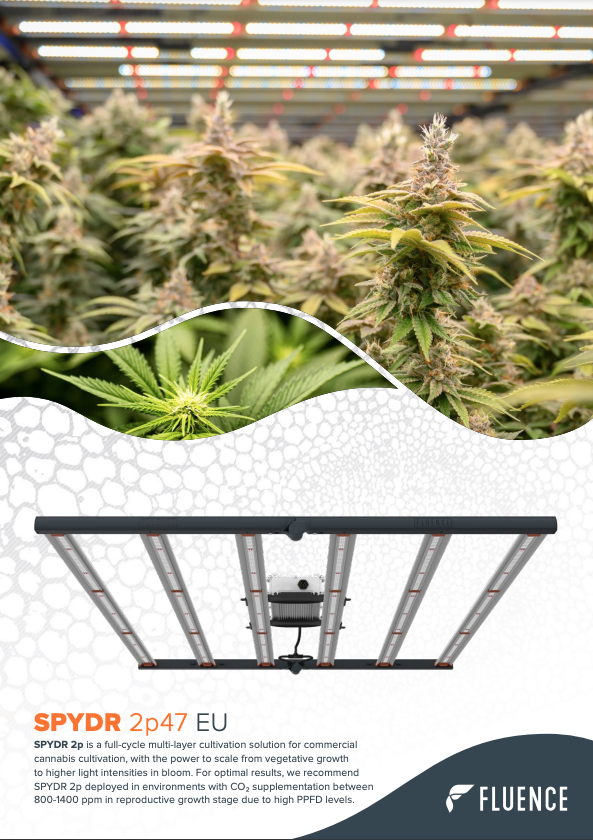 Cannabis plants under SPYDR 2p47 EU LED grow lights for commercial cultivation.