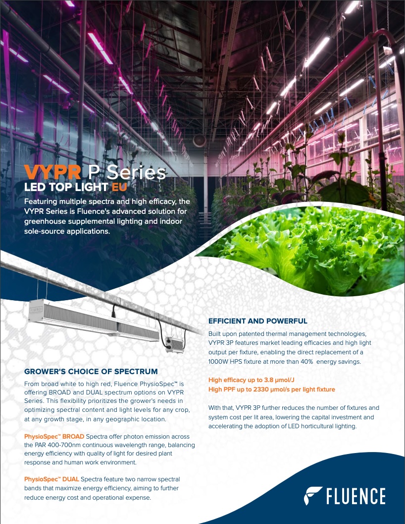 Commercial LED grow lights for cannabis with suspended fixture, VYPR P Series.