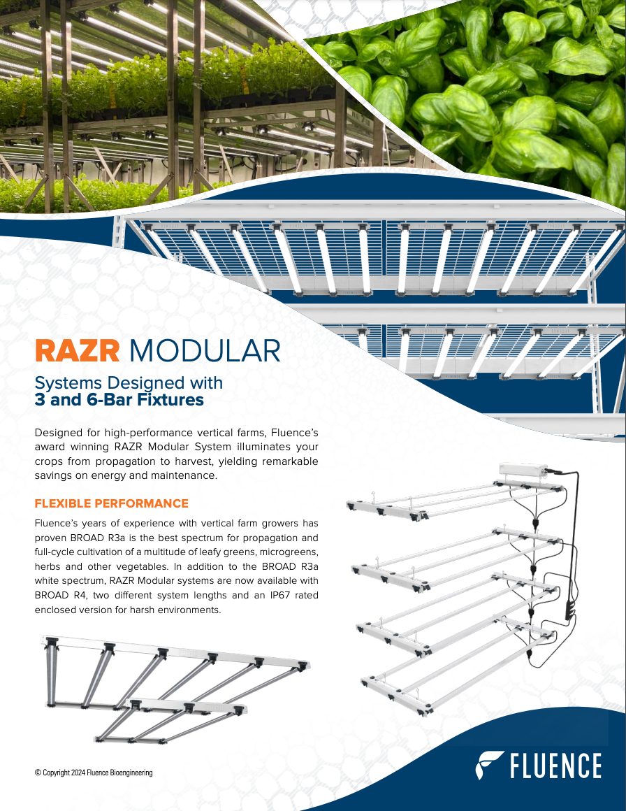 1. LED grow lights for cannabis illuminating vertical commercial cultivation racks. 2. Cannabis lighting technology above dense cannabis plants in commercial facility. 3. Modern LED grow lights for cannabis used in high-yield vertical cultivation farm. 4. Cannabis lighting and RAZR Modular Bar Fixtures over indoor cannabis crops.