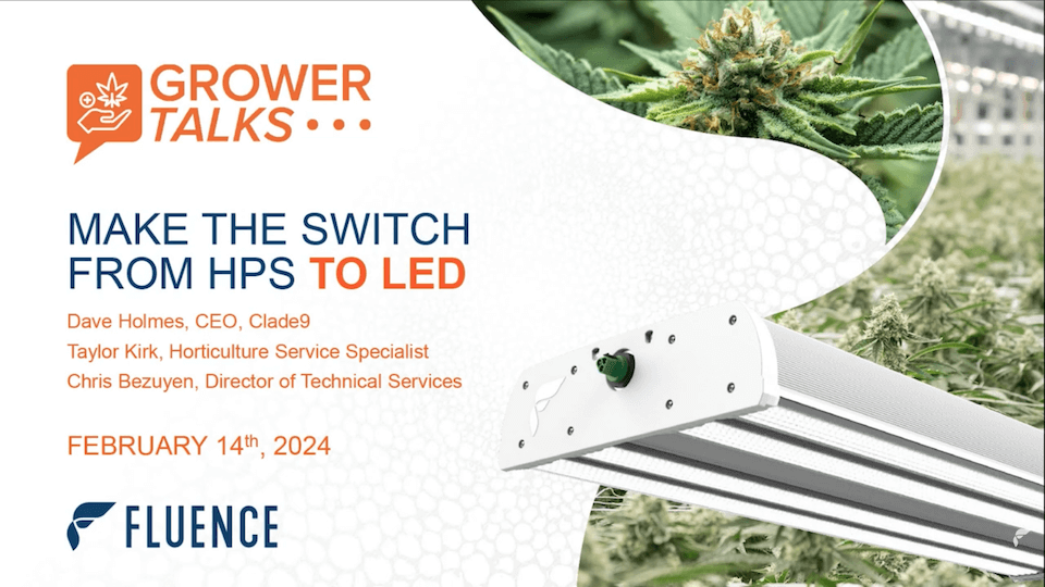 Webinar image: LED grow lights for cannabis, commercial cultivation, HPS vs LED.