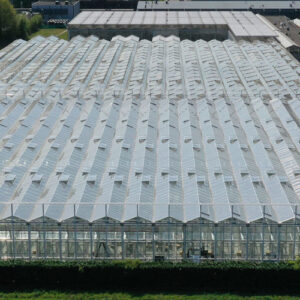 Aerial view of commercial cannabis greenhouse with advanced LED grow lights.