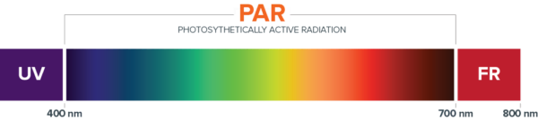 A spectrum bar showing UV, PAR, FR for cannabis lighting and grow lights.