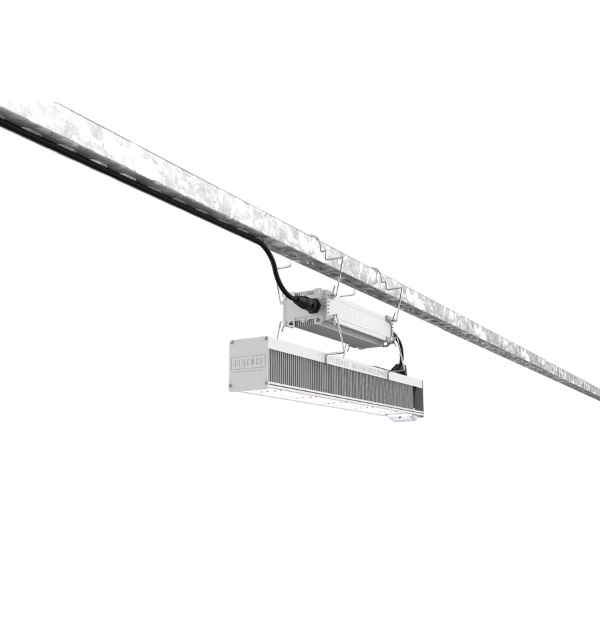 A suspended monorail for LED grow lights in commercial cannabis cultivation.