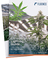 Brochure cover titled "Cannabis Lighting Guide" with cannabis plants, LED grow lights for cannabis, and commercial cannabis cultivation insights.