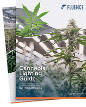 Couverture de brochure intitulée "Cannabis Lighting Guide" avec des plantes de cannabis, des lampes de culture LED pour le cannabis et des informations sur la culture commerciale du cannabis.
