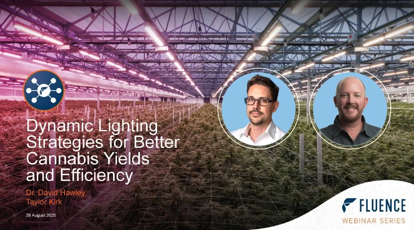 Cultivo comercial de cannabis con luces de cultivo LED, fotos de los ponentes y detalles del seminario web sobre tecnología de iluminación para cannabis.
